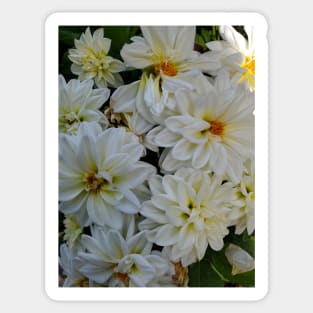 White Flower Bunch Photography My Sticker